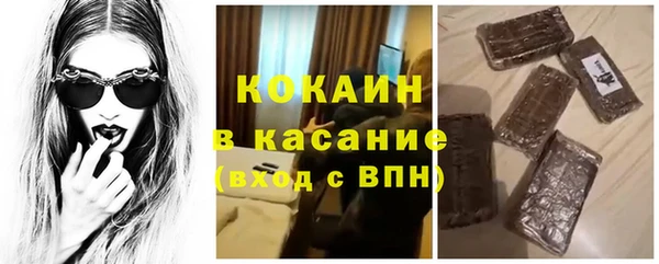 сатива Аркадак