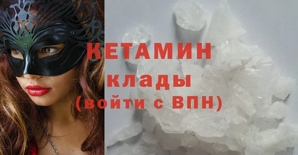 сатива Аркадак