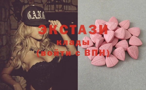 сатива Аркадак