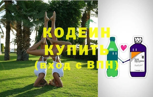 сатива Аркадак
