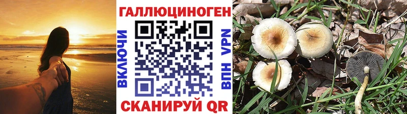 купить наркотики цена  Феодосия  Псилоцибиновые грибы мухоморы 
